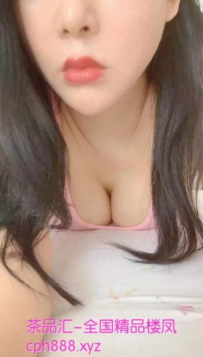 广州大奶燕